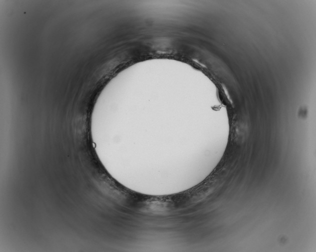 X0000101110756200807241135