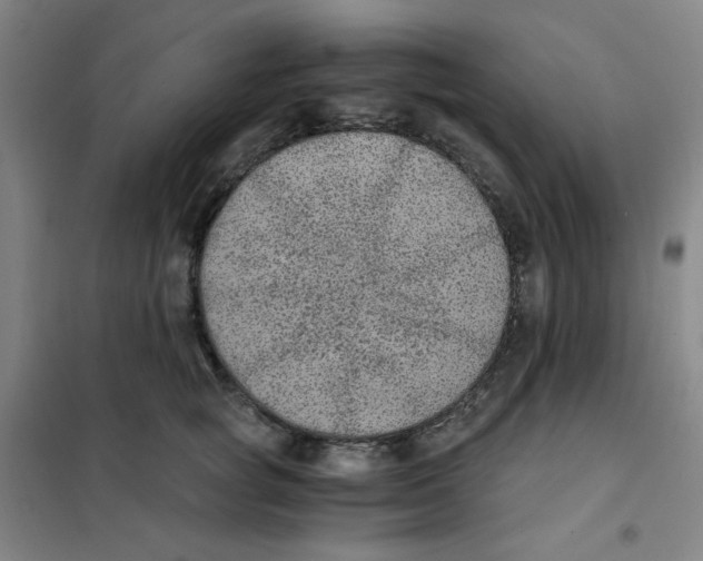 X0000101110757200807241135
