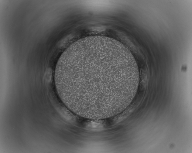 X0000101110758200807241135