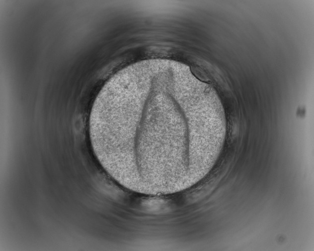X0000101110759200807241135
