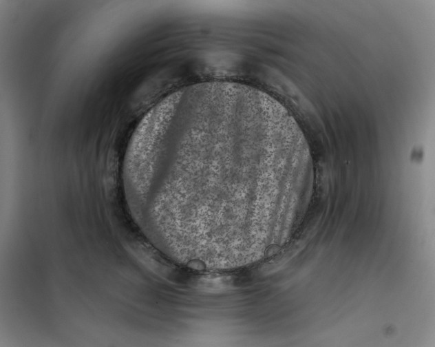 X0000101110760200807241135