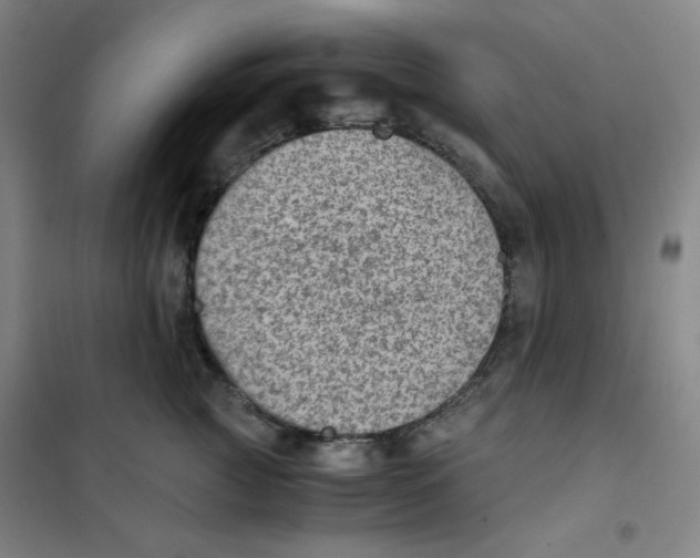 X0000101110761200807241135