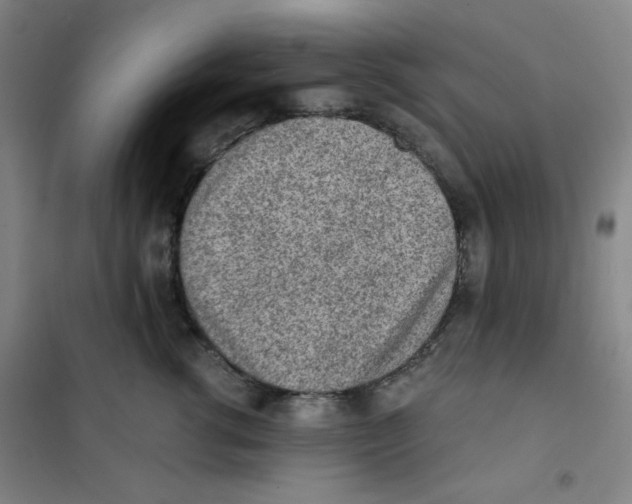 X0000101110762200807241135