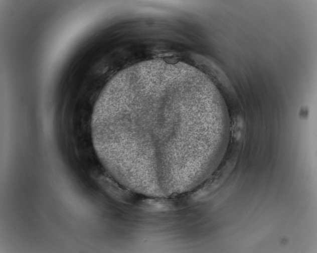 X0000101110763200807241135