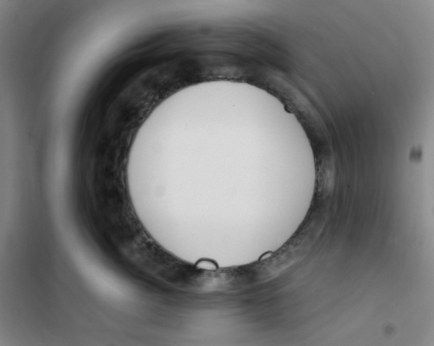 X0000101110764200807241135
