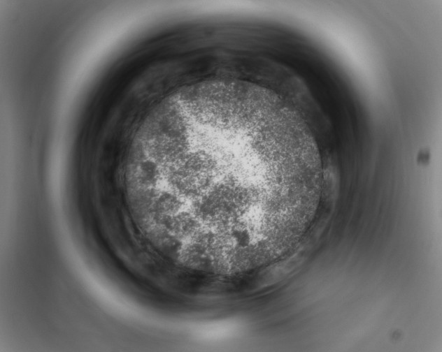 X0000101110765200807241135