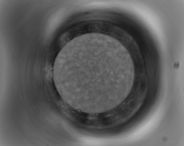 X0000101110766200807241135