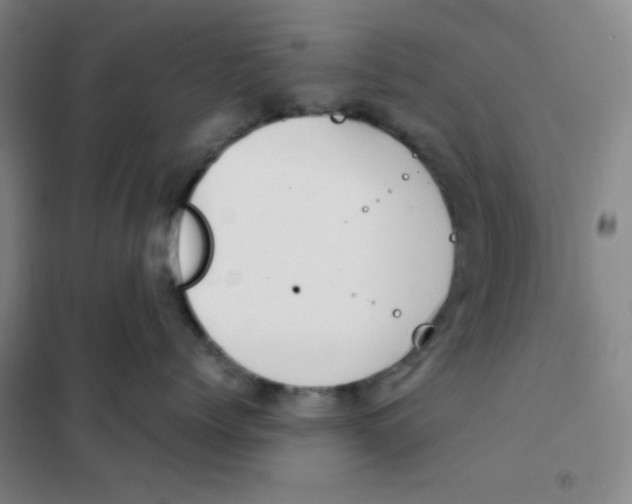 X0000101110768200807241135