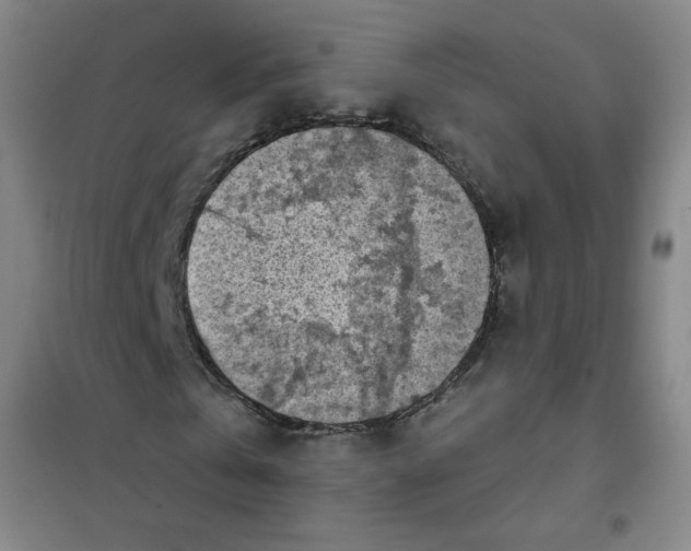 X0000101110769200807241134