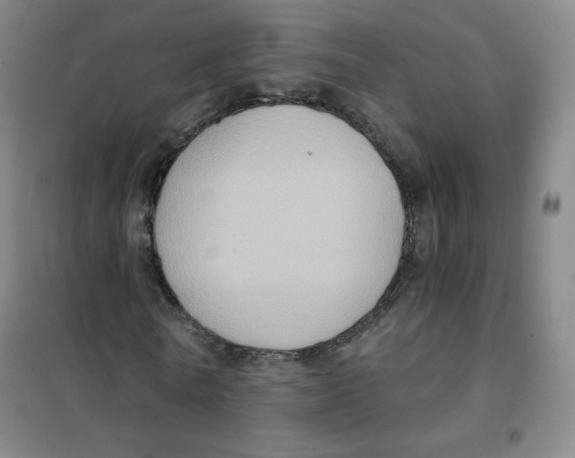 X0000101110770200807241134