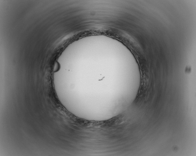 X0000101110773200807241134