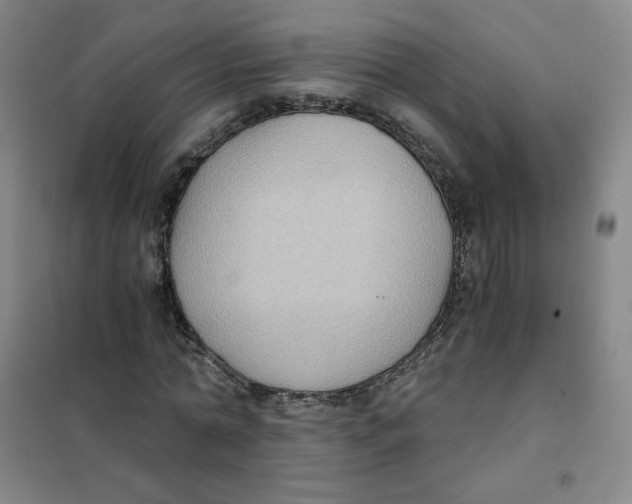 X0000101110774200807241134