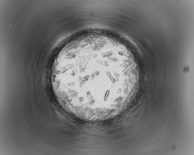 X0000101110775200807241134