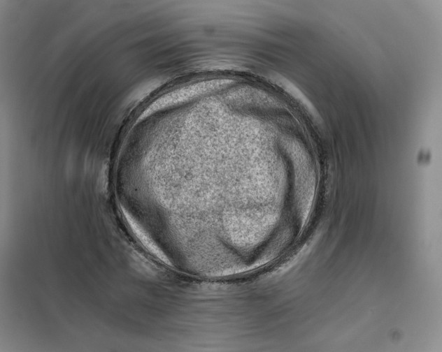 X0000101110777200807241134