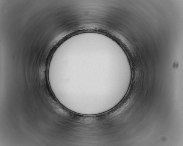 X0000101110778200807241134
