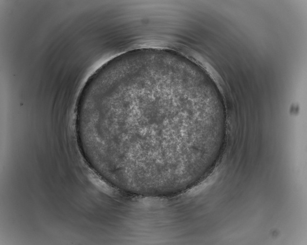 X0000101110779200807241134