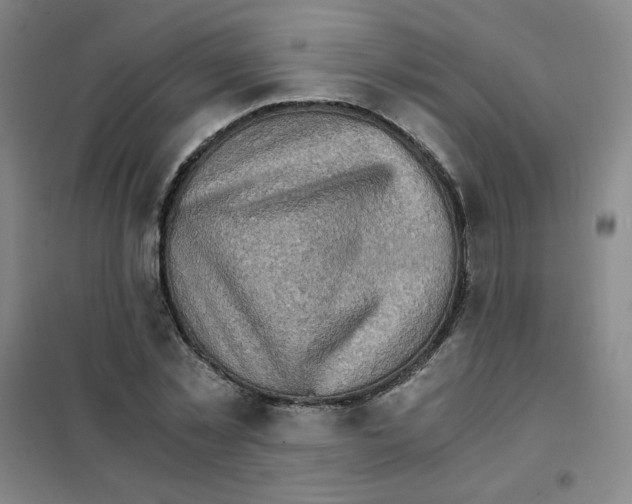 X0000101110781200807241134