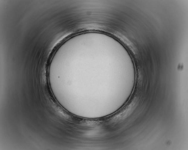 X0000101110782200807241134