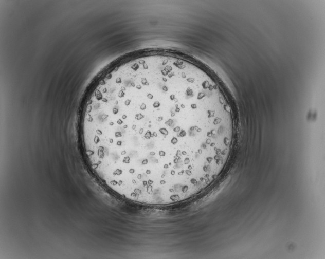 X0000101110783200807241134