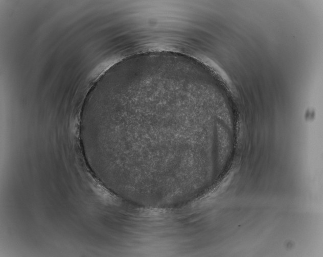 X0000101110785200807241134