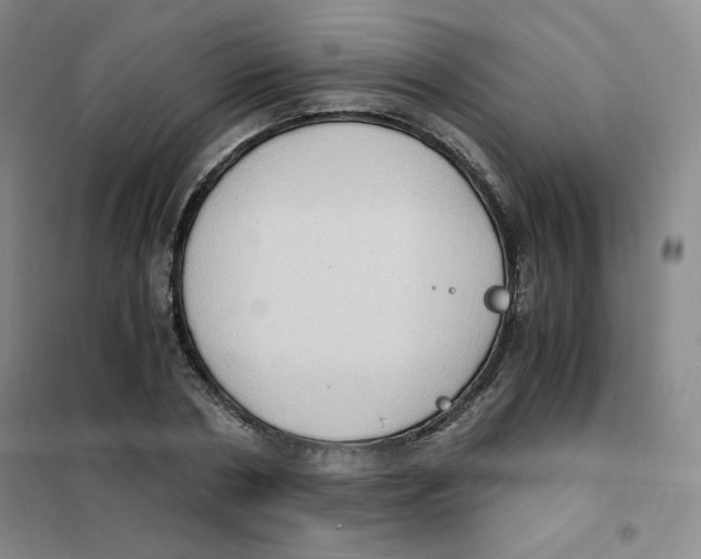 X0000101110786200807241134