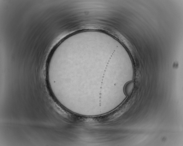 X0000101110787200807241134