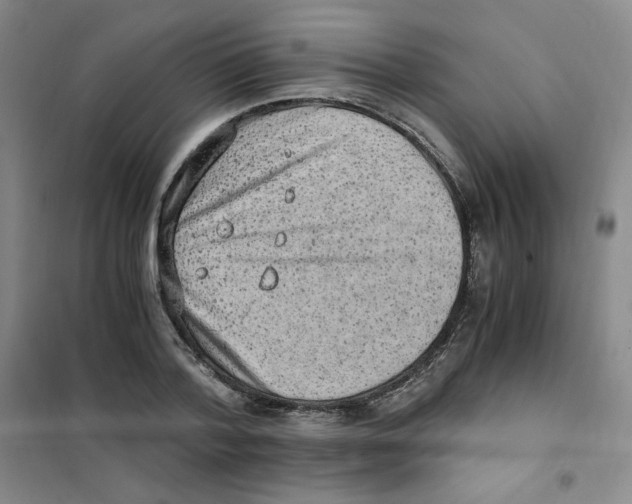 X0000101110788200807241134