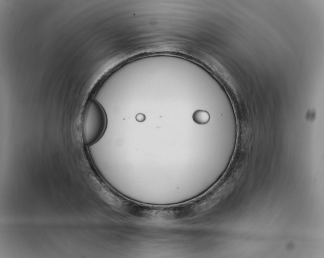 X0000101110789200807241134