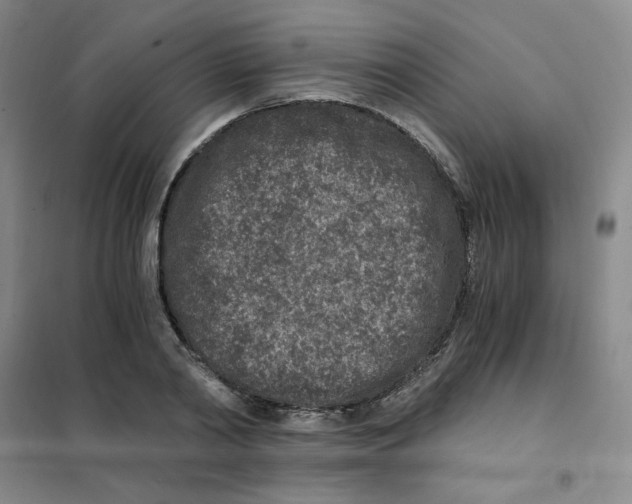 X0000101110790200807241134