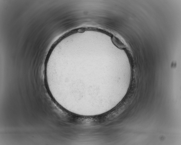 X0000101110791200807241134