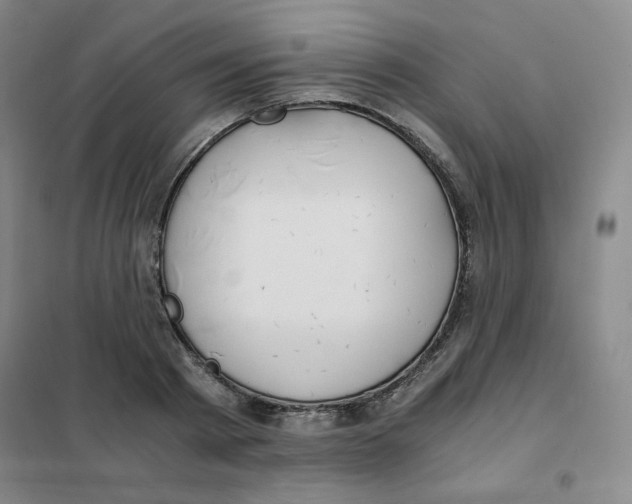 X0000101110793200807241134