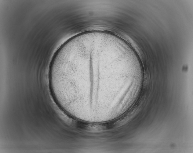X0000101110795200807241134