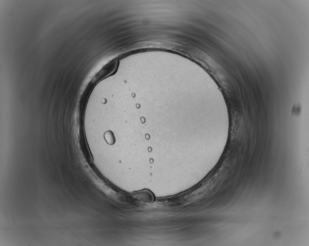 X0000101110796200807241134