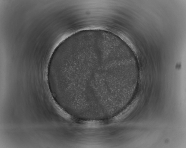 X0000101110797200807241134