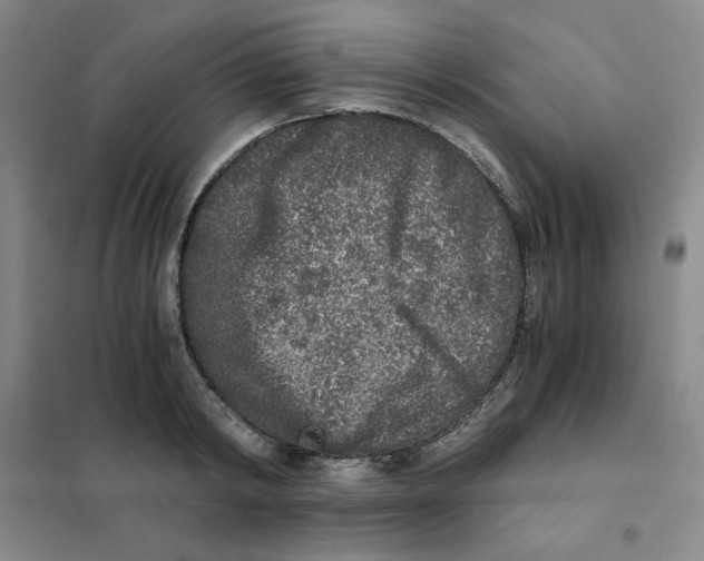 X0000101110798200807241134