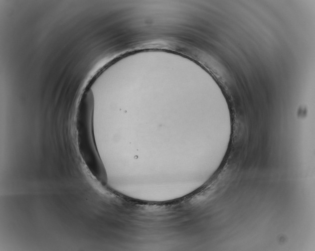 X0000101110800200807241134