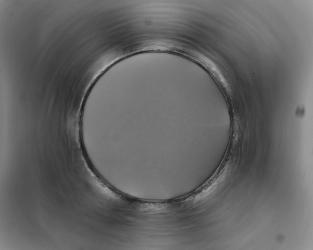 X0000101110802200807241134