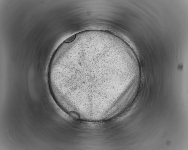 X0000101110803200807241134
