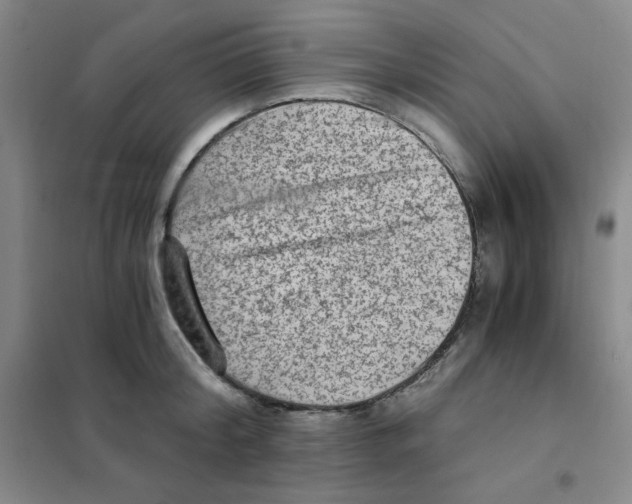 X0000101110804200807241134
