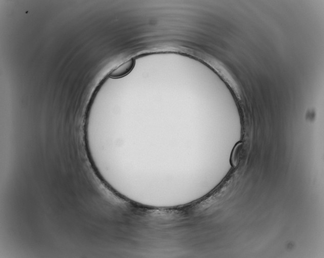 X0000101110805200807241134