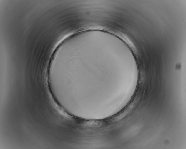 X0000101110806200807241134