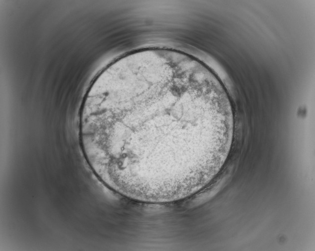 X0000101110807200807241134