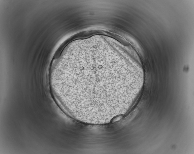 X0000101110808200807241134