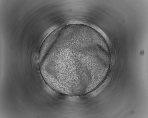 X0000101110809200807241134