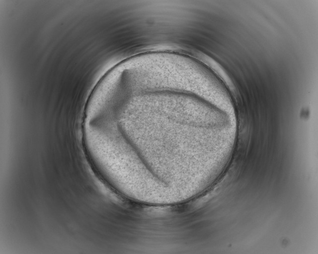 X0000101110810200807241134