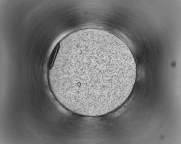 X0000101110812200807241134