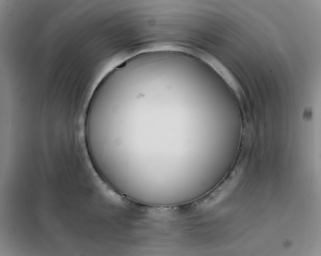 X0000101110813200807241134
