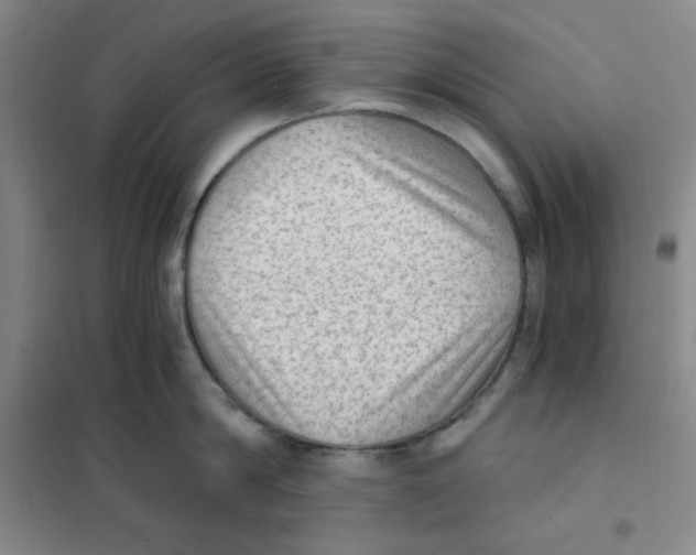 X0000101110814200807241134