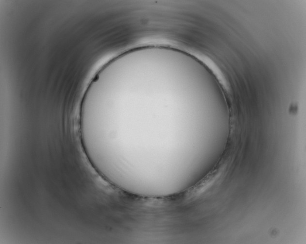 X0000101110815200807241134