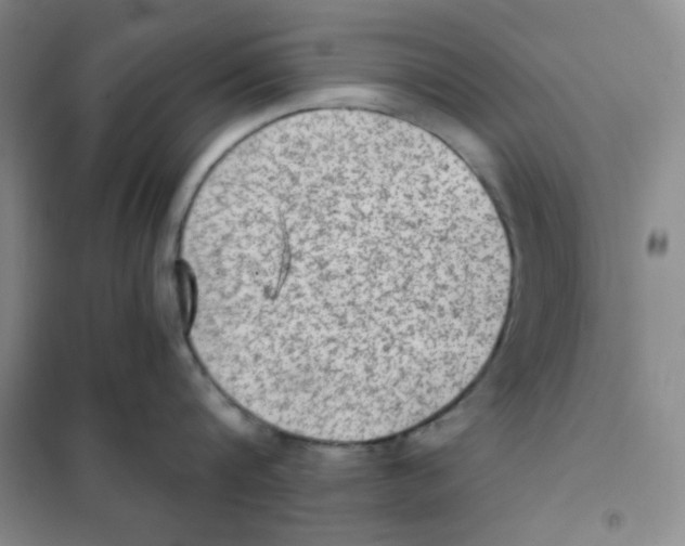 X0000101110816200807241134
